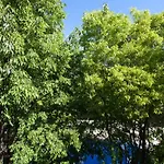 Superbe Loft Vieil 公寓 昂蒂布