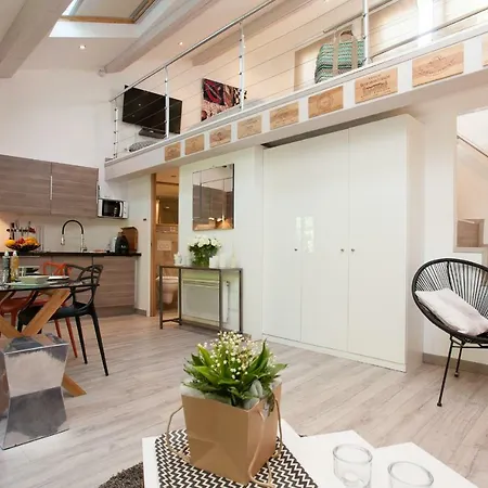 Superbe Loft Vieil *