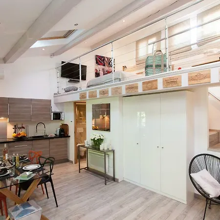 Superbe Loft Vieil 公寓 *