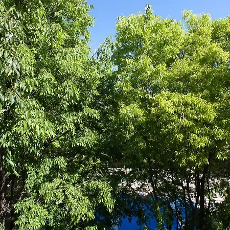 Superbe Loft Vieil Appartamento Antibes