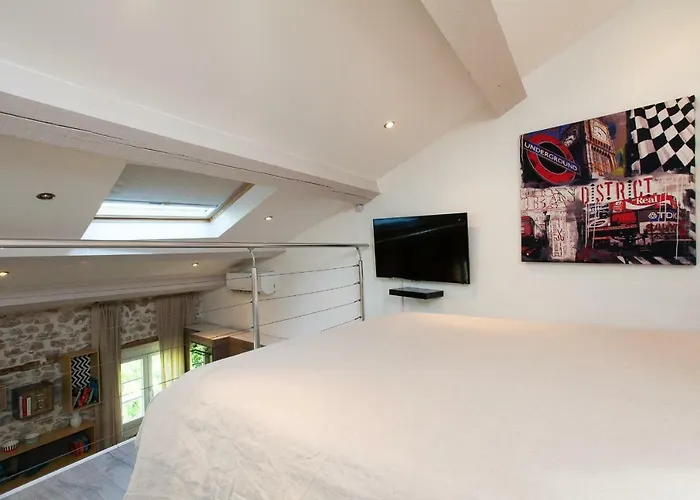 Daire Superbe Loft Vieil