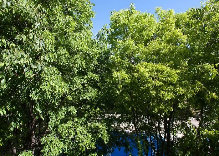 Superbe Loft Vieil Lejlighed Antibes